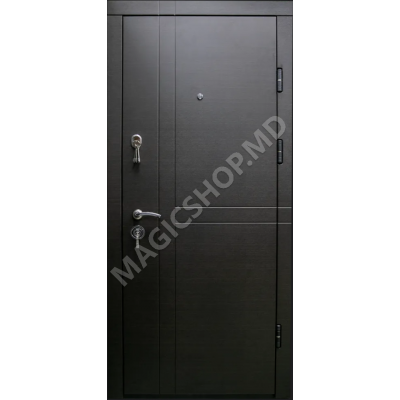 Наружная дверь DIPLOMAT 120 (2050x960mm)